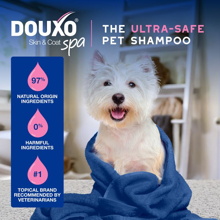 Szampon łagodzący swędzenie dla psów DOUXO® SPA Itch Soothing Shampoo
