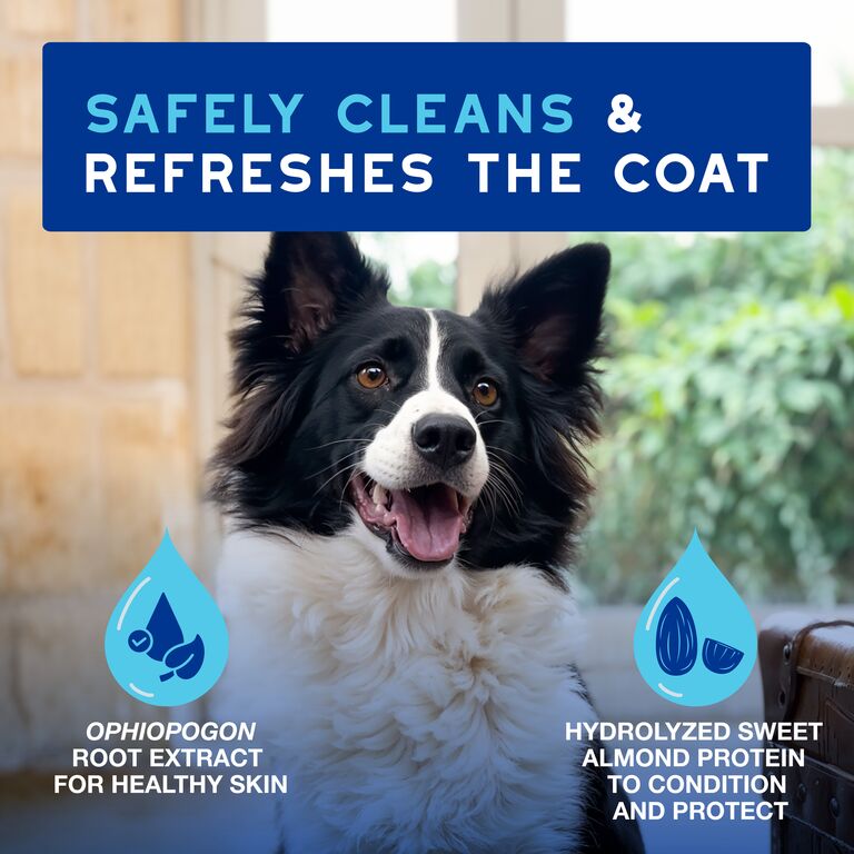 Pianka bez spłukiwania dla psów DOUXO® SPA Quick refresh dog Mousse