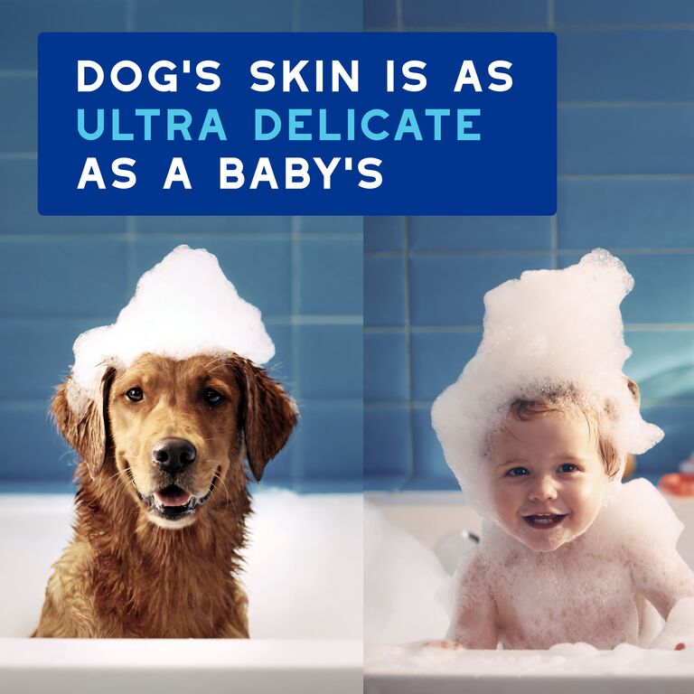 Pianka bez spłukiwania dla psów DOUXO® SPA Quick refresh dog Mousse