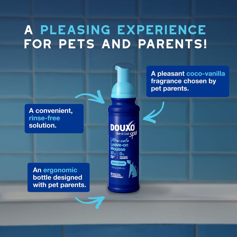Pianka bez spłukiwania dla psów DOUXO® SPA Quick refresh dog Mousse