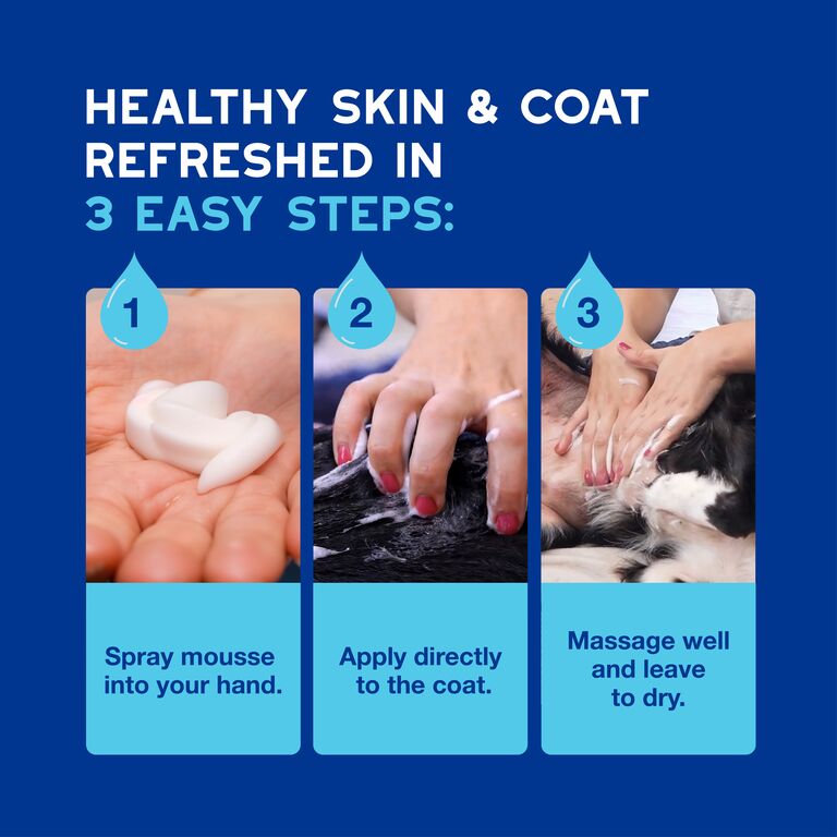 Pianka bez spłukiwania dla psów DOUXO® SPA Quick refresh dog Mousse