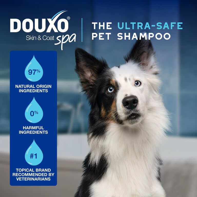 Preparat do czyszczenia uszu dla psów i kotów DOUXO® SPA Dewaxing Ear Cleaner