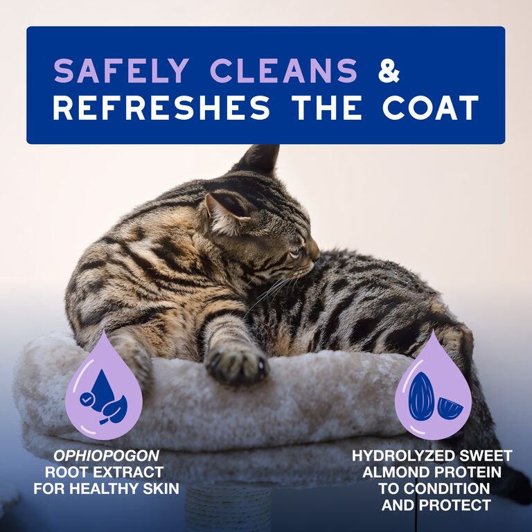 Pianka bez spłukiwania dla kotów DOUXO® SPA Low-stress refresh cat Mousse