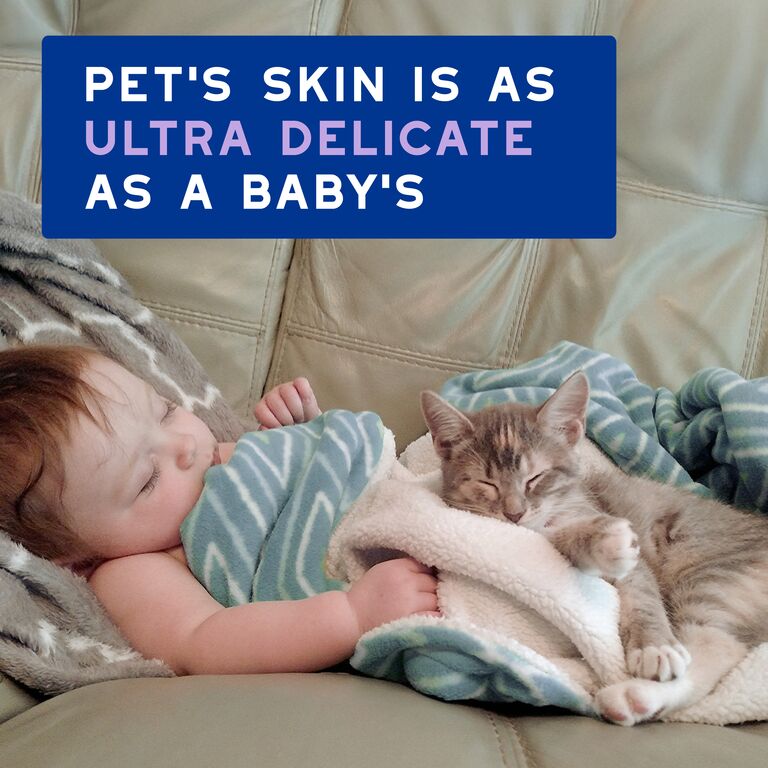 Pianka bez spłukiwania dla kotów DOUXO® SPA Low-stress refresh cat Mousse