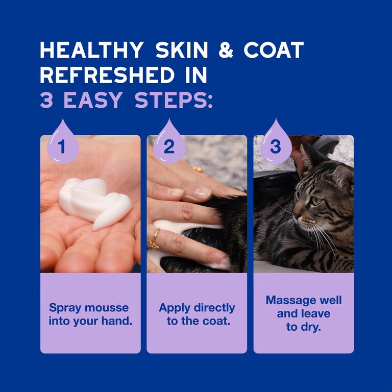 Pianka bez spłukiwania dla kotów DOUXO® SPA Low-stress refresh cat Mousse
